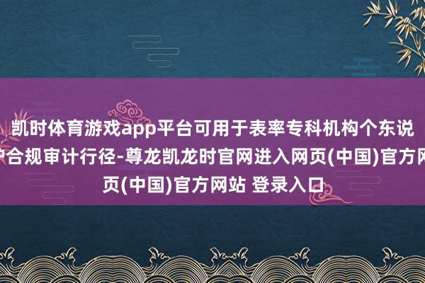 凯时体育游戏app平台可用于表率专科机构个东说念主信息保护合规审计行径-尊龙凯龙时官网进入网页(中国)官方网站 登录入口