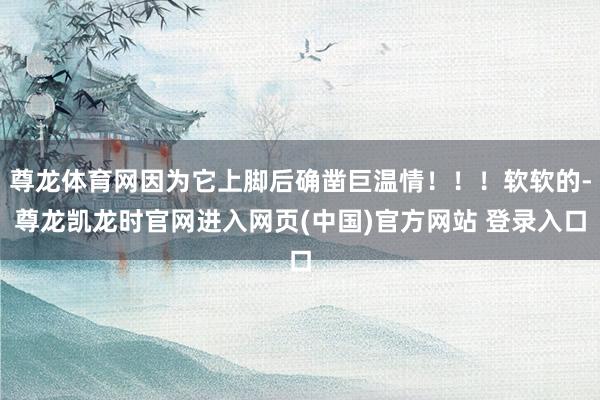 尊龙体育网因为它上脚后确凿巨温情！！！软软的-尊龙凯龙时官网进入网页(中国)官方网站 登录入口