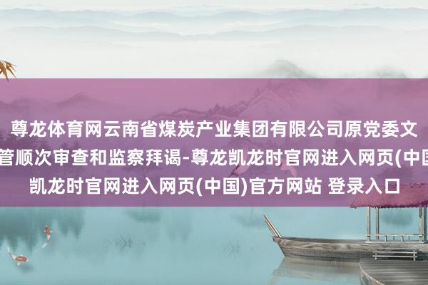 尊龙体育网云南省煤炭产业集团有限公司原党委文告、董事长宁德刚接管顺次审查和监察拜谒-尊龙凯龙时官网进入网页(中国)官方网站 登录入口